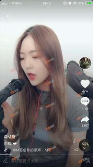 雨蝶视频,捕捉自然之美，探寻生命奇迹